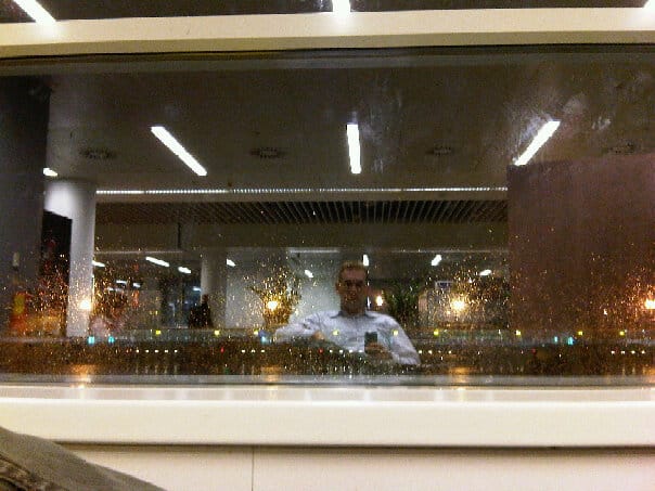 The ultimate domestic terrorist organisation : Morals